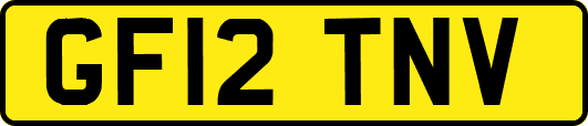 GF12TNV