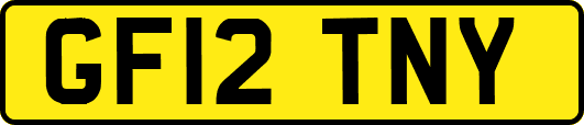 GF12TNY