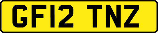 GF12TNZ