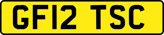 GF12TSC