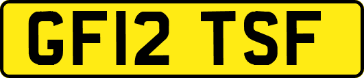 GF12TSF