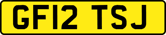 GF12TSJ