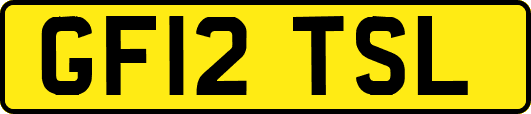 GF12TSL