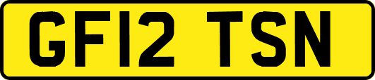 GF12TSN