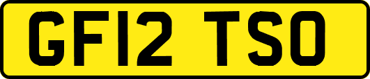 GF12TSO