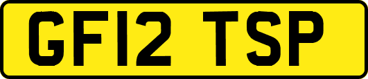 GF12TSP