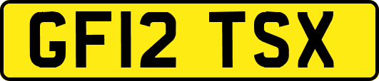 GF12TSX
