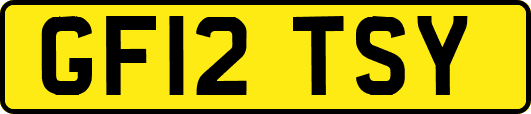 GF12TSY