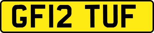 GF12TUF