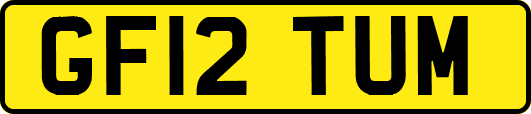 GF12TUM