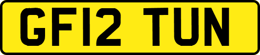 GF12TUN