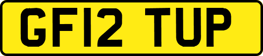 GF12TUP