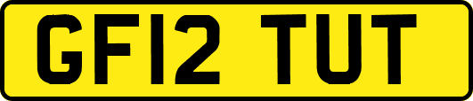 GF12TUT