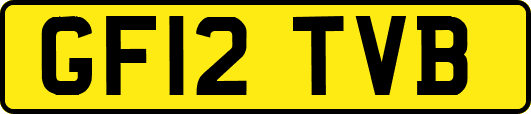 GF12TVB
