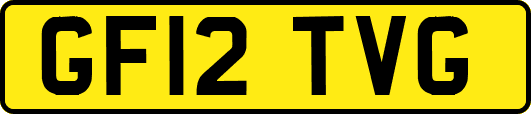 GF12TVG