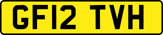 GF12TVH