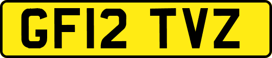 GF12TVZ