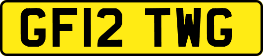 GF12TWG