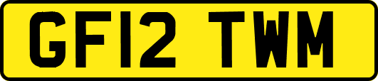 GF12TWM