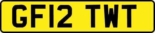 GF12TWT