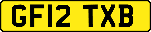 GF12TXB