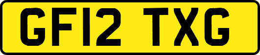 GF12TXG
