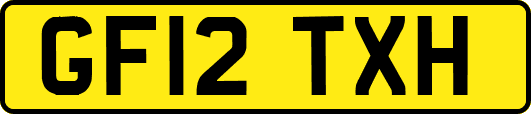 GF12TXH