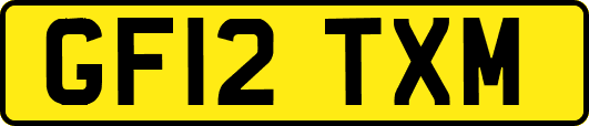 GF12TXM