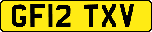 GF12TXV