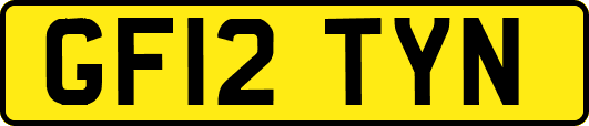 GF12TYN
