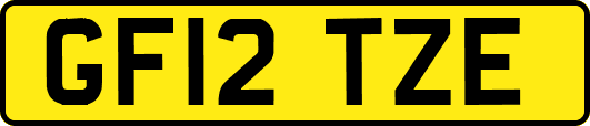 GF12TZE