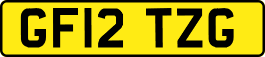 GF12TZG