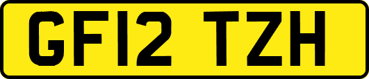 GF12TZH