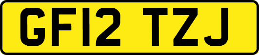 GF12TZJ