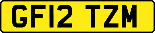 GF12TZM