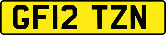 GF12TZN