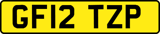GF12TZP