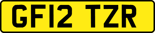 GF12TZR