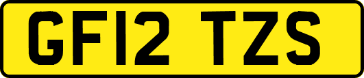 GF12TZS