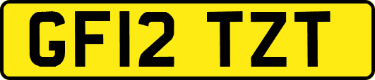 GF12TZT
