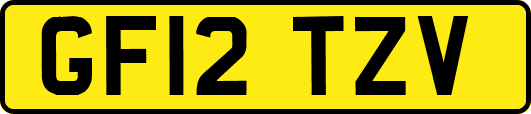 GF12TZV
