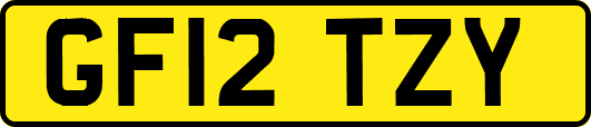 GF12TZY