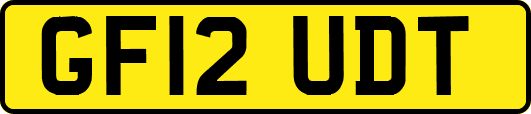 GF12UDT