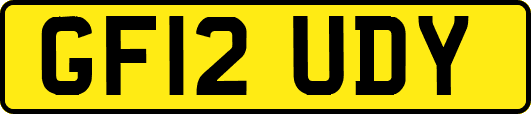 GF12UDY