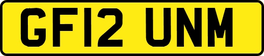 GF12UNM