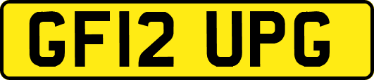 GF12UPG