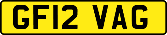 GF12VAG