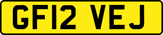 GF12VEJ
