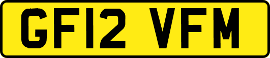 GF12VFM