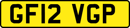 GF12VGP